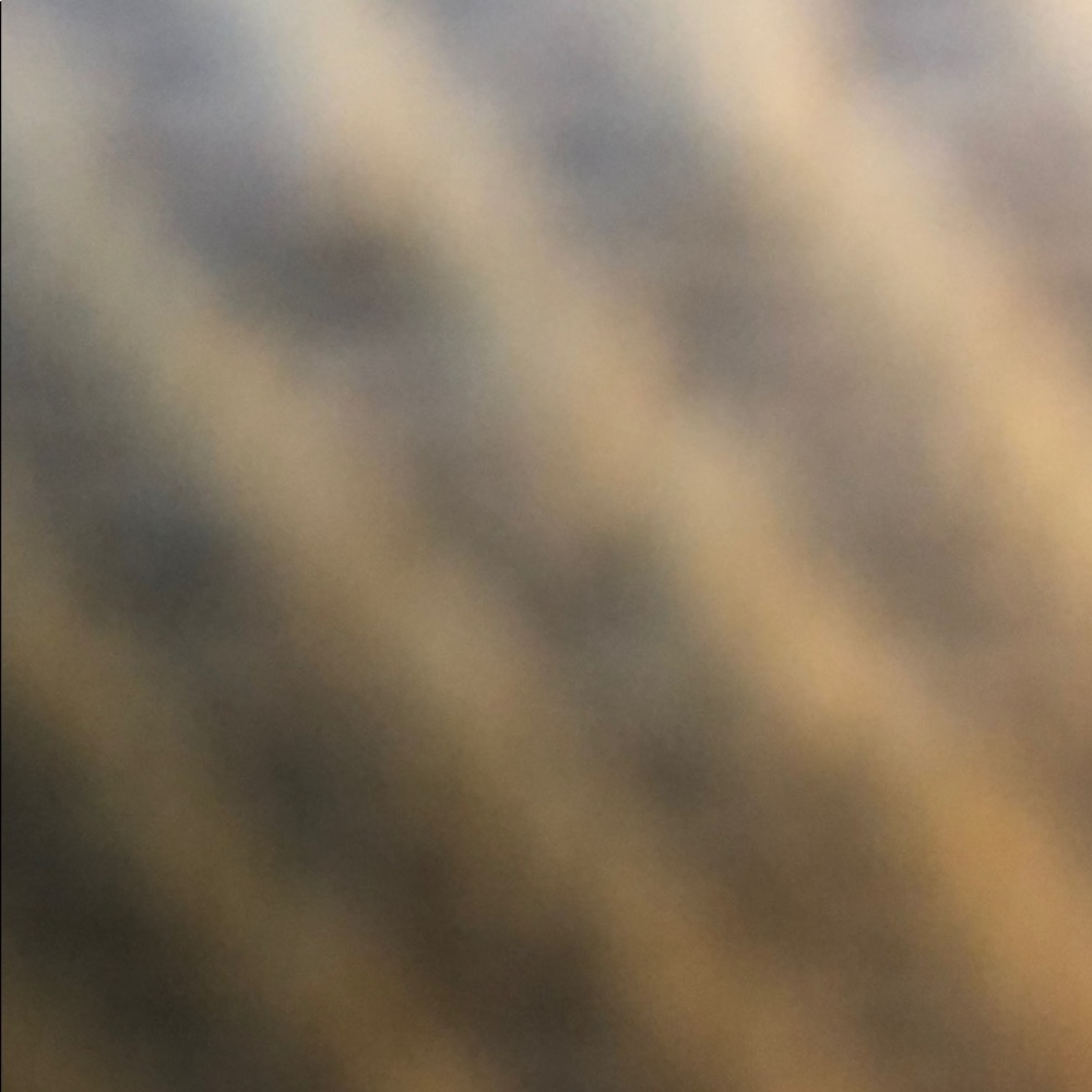 Meet your Posher, Chelsea